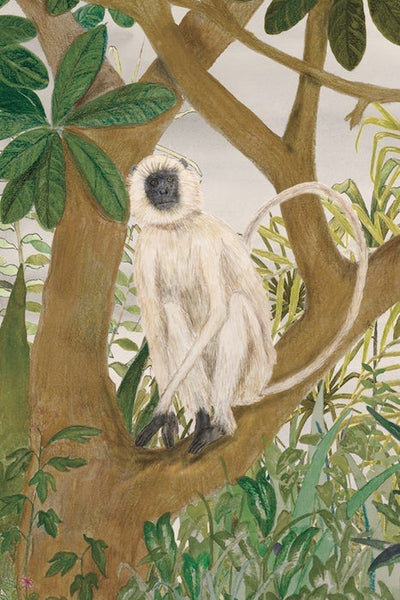 CHAMPA WITH LANGUR | ART PRINT Art Tilla 