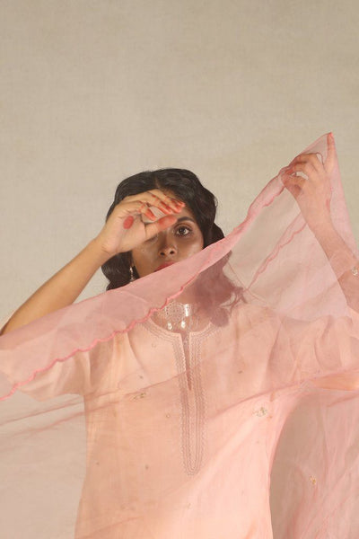 Chanderi Light Blush Handwoven Kurta Fashion Juanita 