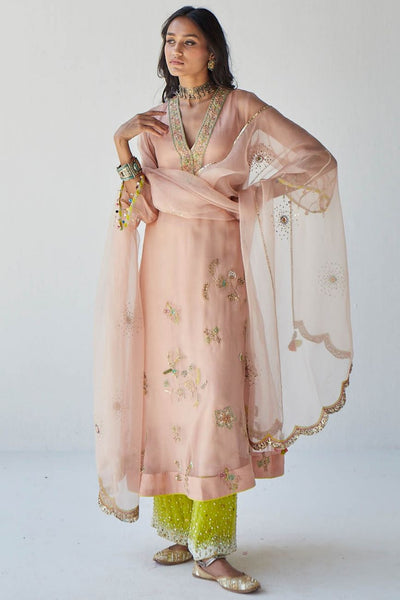 NUDE PINK JAAL ORGANZA KURTA SET