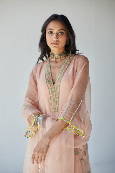 NUDE PINK JAAL ORGANZA KURTA SET