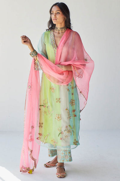 POWDER BLUE JAAL ORGANZA KURTA SET