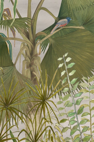 FAN PALM WITH MALABAR TROGON | ART PRINT Art Tilla 