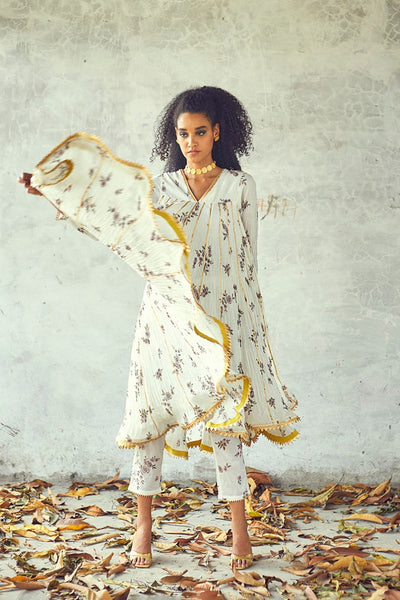 Gulbahaar (Set of 2) Fashion Khara Kapas