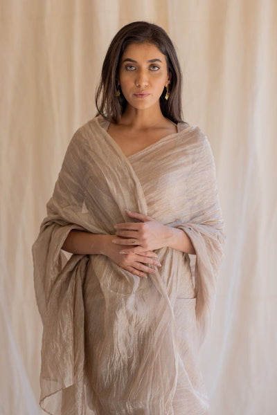 Inara Tissue Saree & Blouse Fashion Nirjara