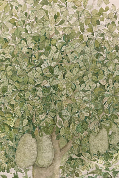 JACKFRUIT | ART PRINT Art Tilla 