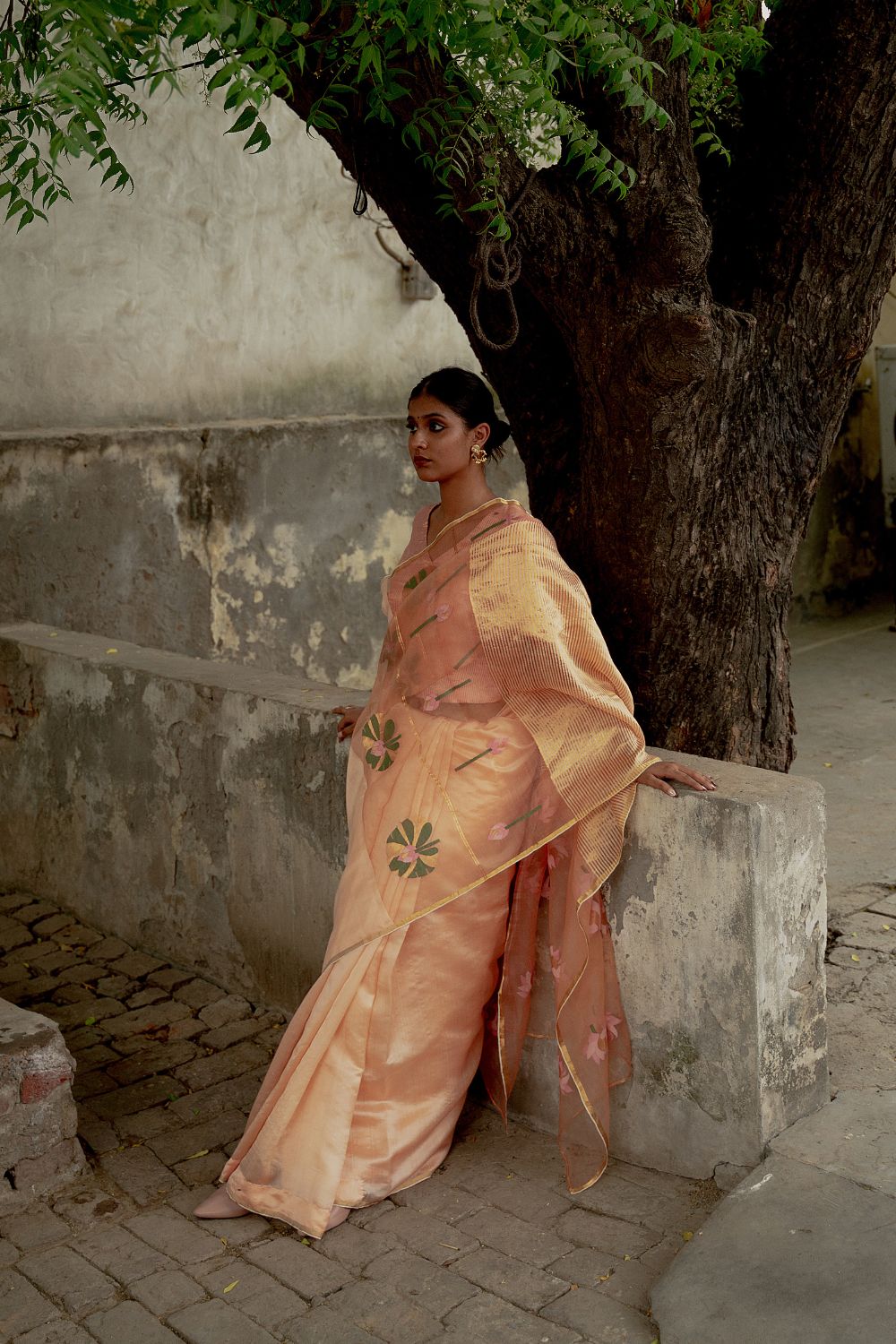 Mohini Sari Fashion Suparna Som