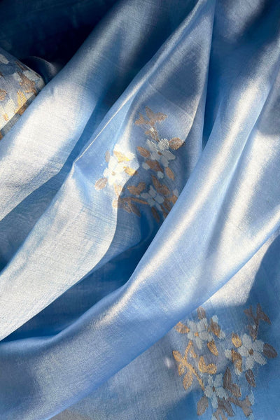 Neelambari Sari Fashion Suparna Som