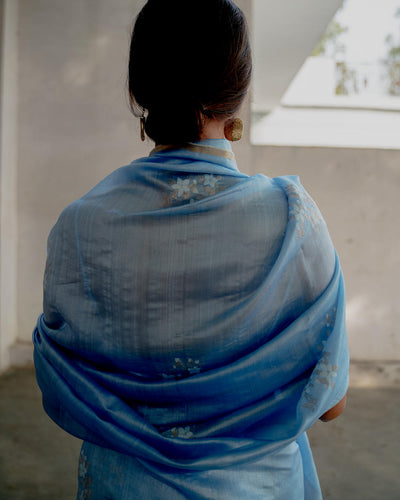 Neelambari Sari Fashion Suparna Som