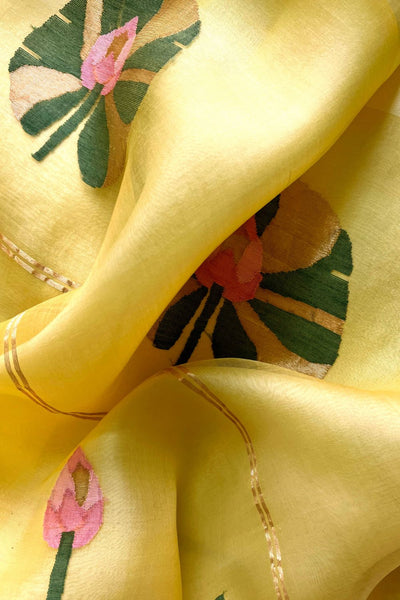 Paaro Sari Fashion Suparna Som