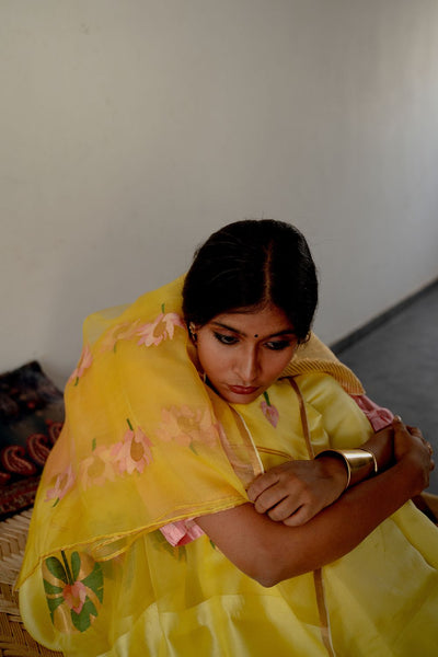 Paaro Sari Fashion Suparna Som