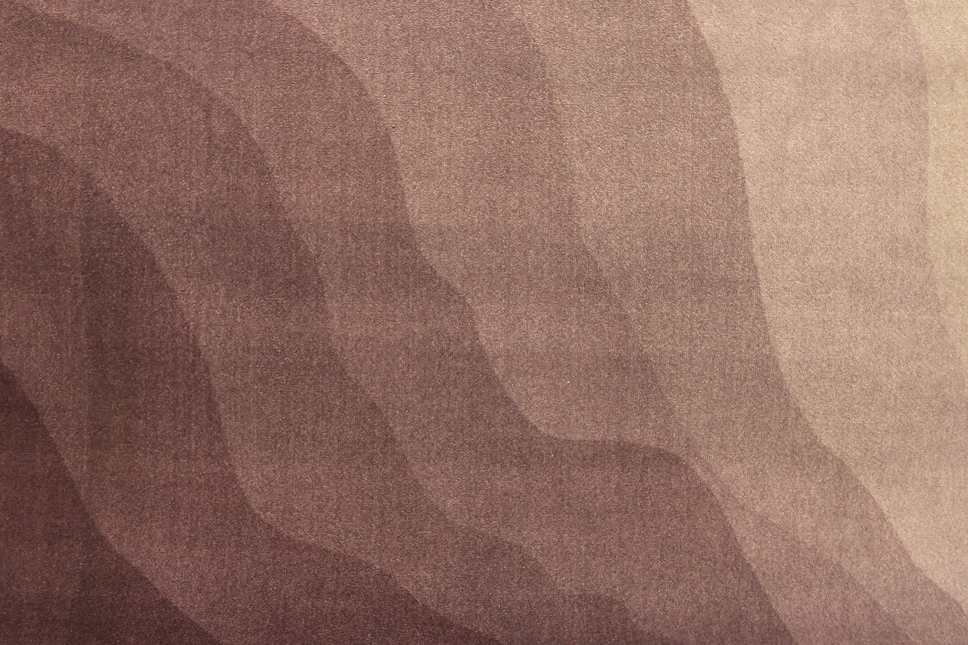 Printed Rug Home Floored by Nupur Goenka 