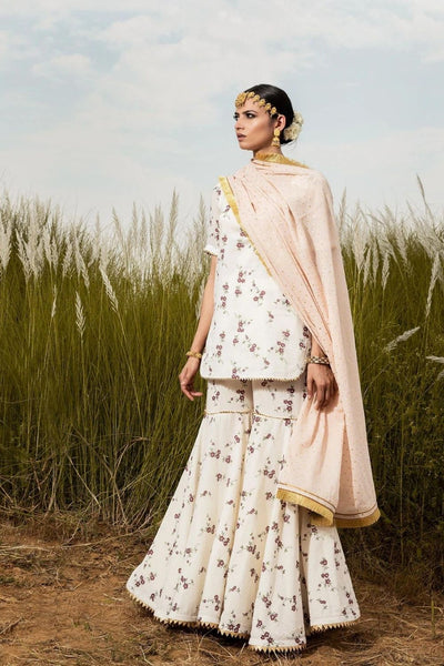 Pushp Vesh Fashion Khara Kapas