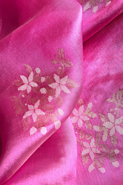 Rani Sari Fashion Suparna Som
