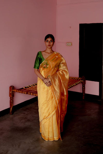 Shonali Sari Fashion Suparna Som