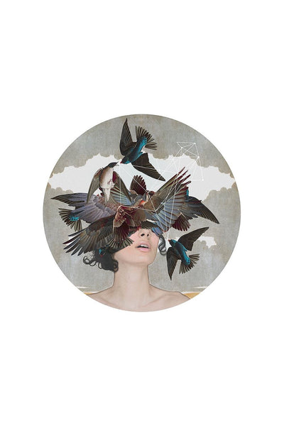 Swallow Blind Art Alexandra Gallagher 